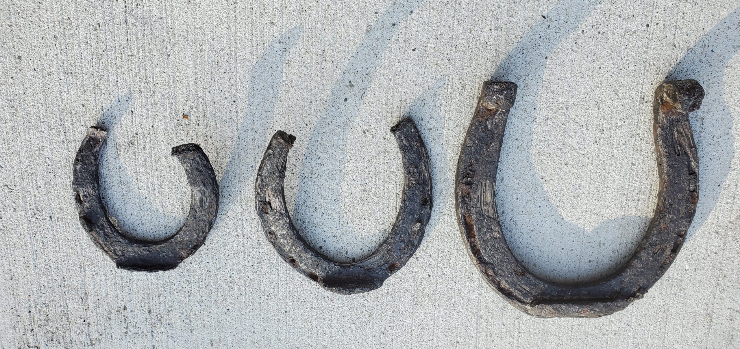 Did Horseshoes Exist Before Horses?